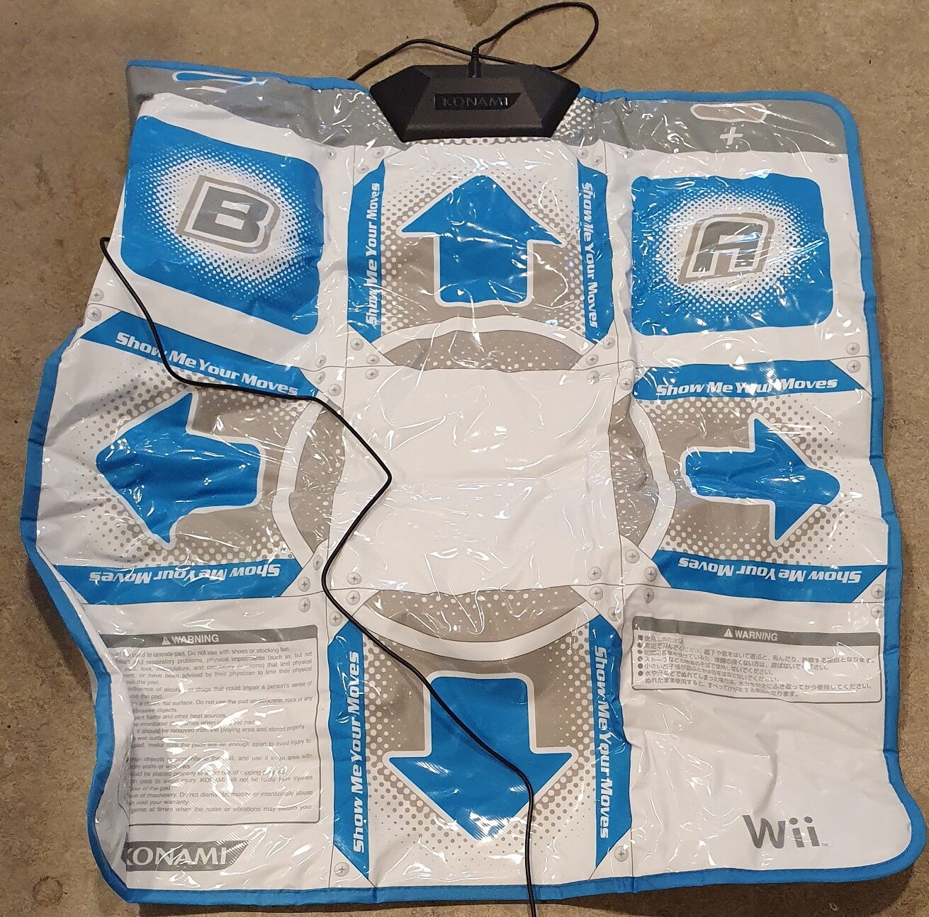 Wii Dansmatta